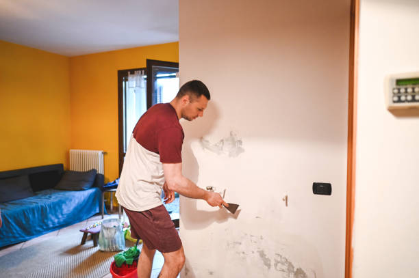 Best Commercial Mold Removal  in Iroquois Point, HI