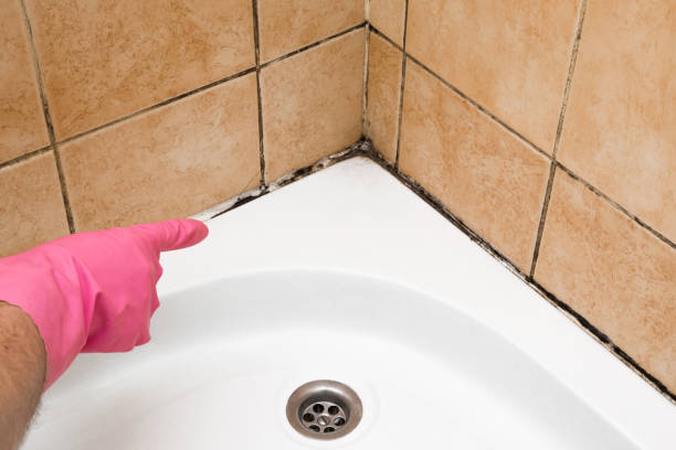 Best Mold Cleaning Services  in Iroquois Point, HI